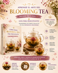 Blooming Tea: Guia Práctica